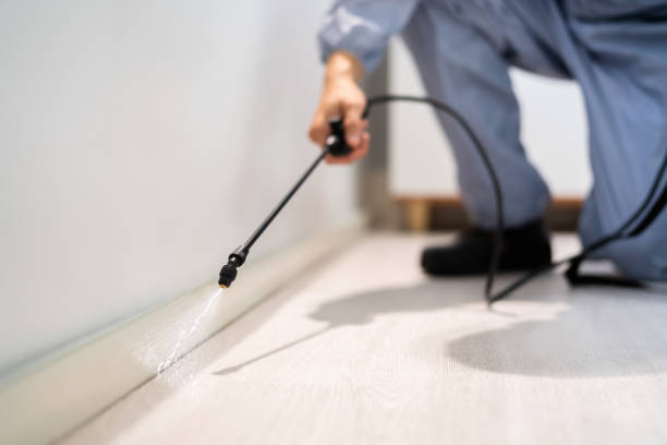 Licensed Pest Control service in East Sonora, CA - Show Me Pest Control